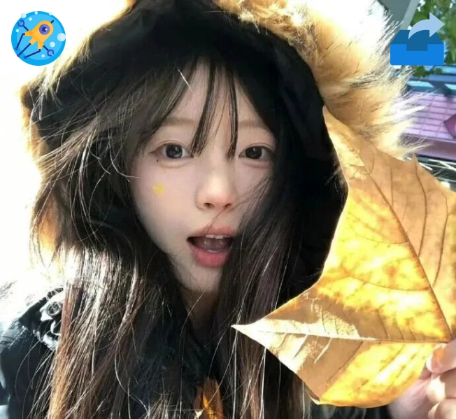 老哥网用户头像1